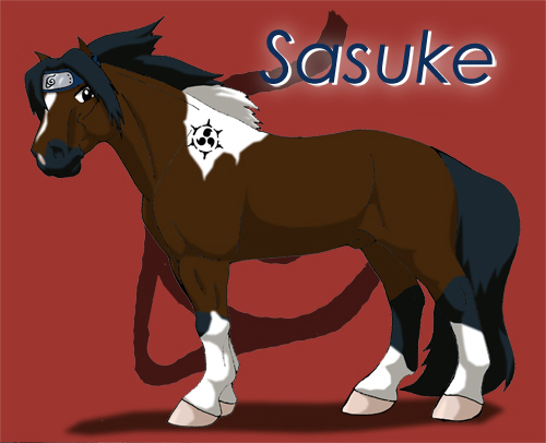 kůňsasuke.jpg
